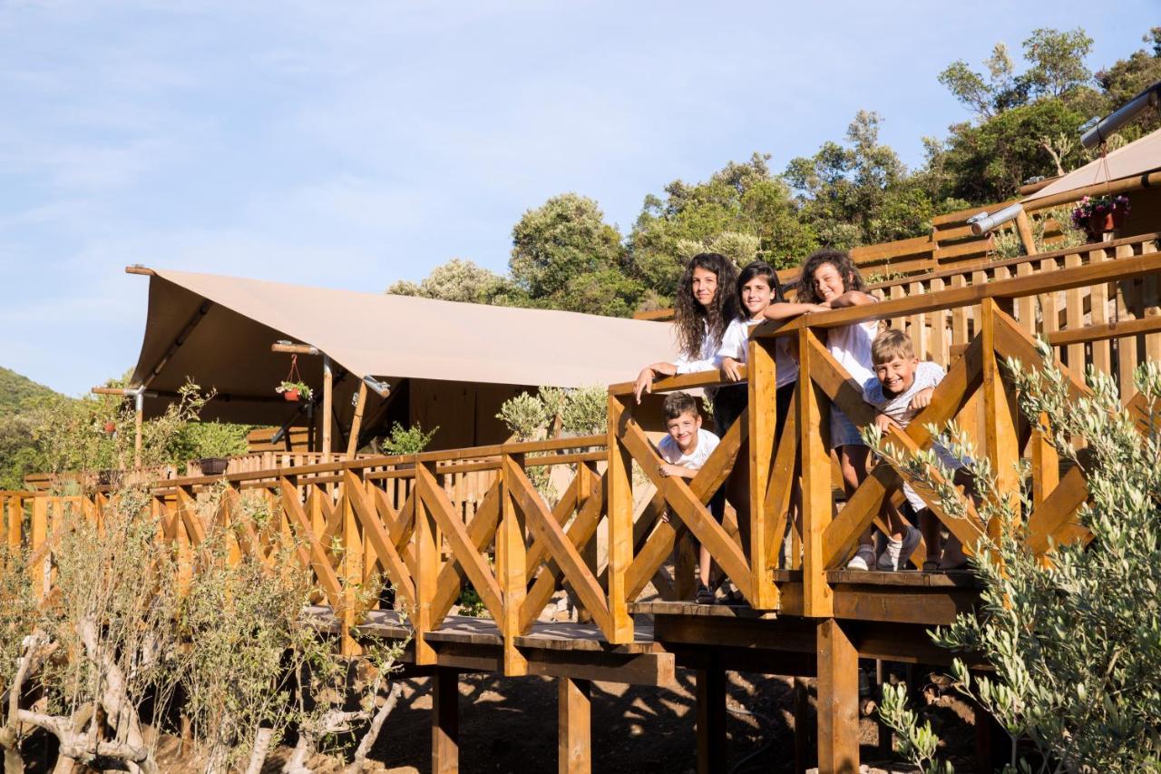 Sea Glamping Hotel Kotor Ngoại thất bức ảnh